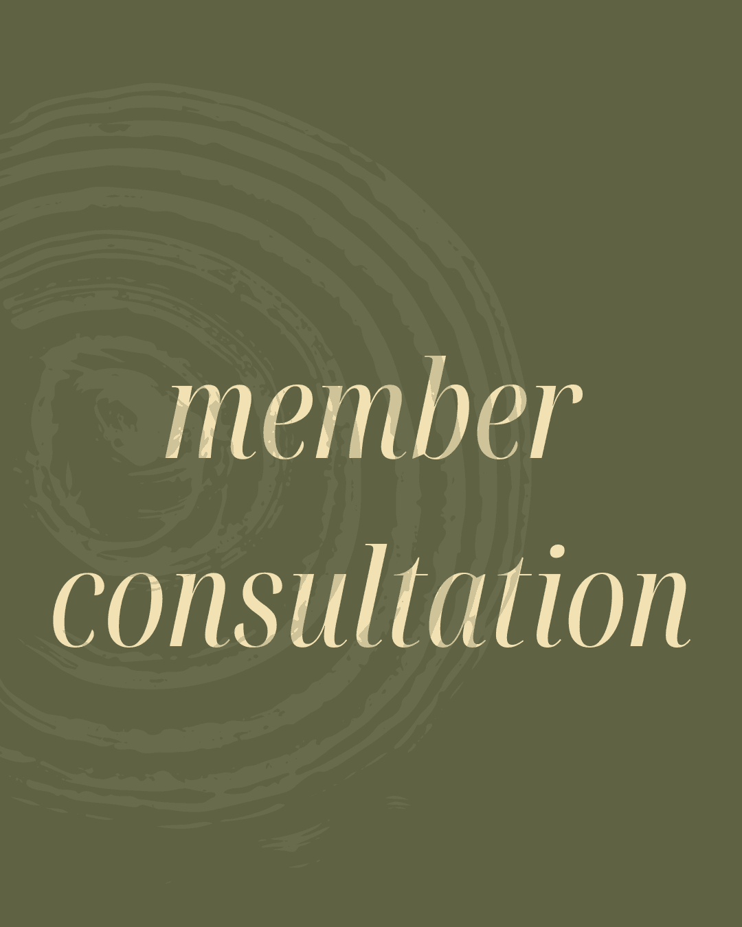 Member Consultation