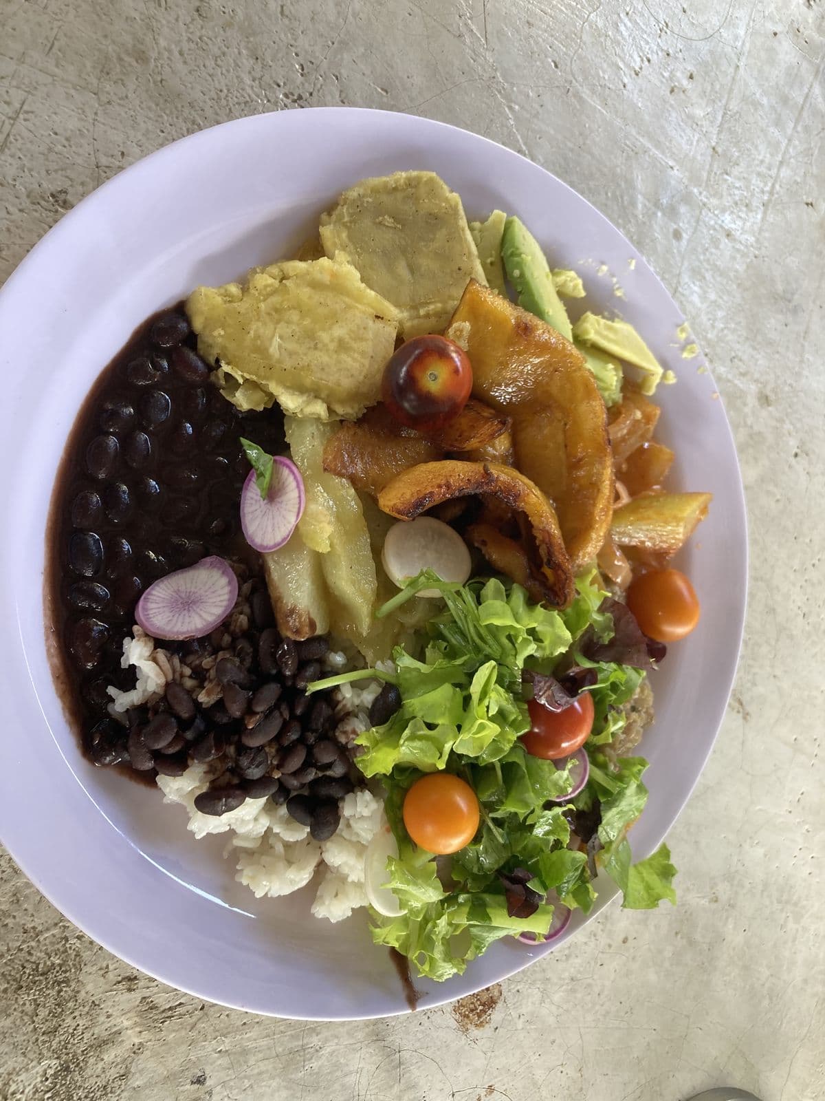 A plate of black beans, rice, fried plantain, avocado and fresh salad.
