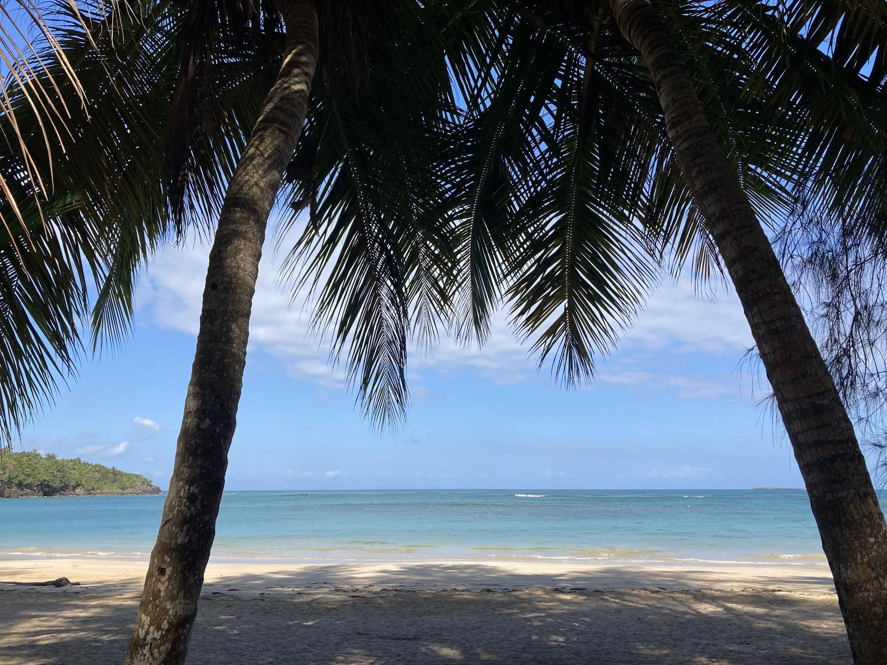 Two coconut palms framing a turquoise bay and an empty beach.