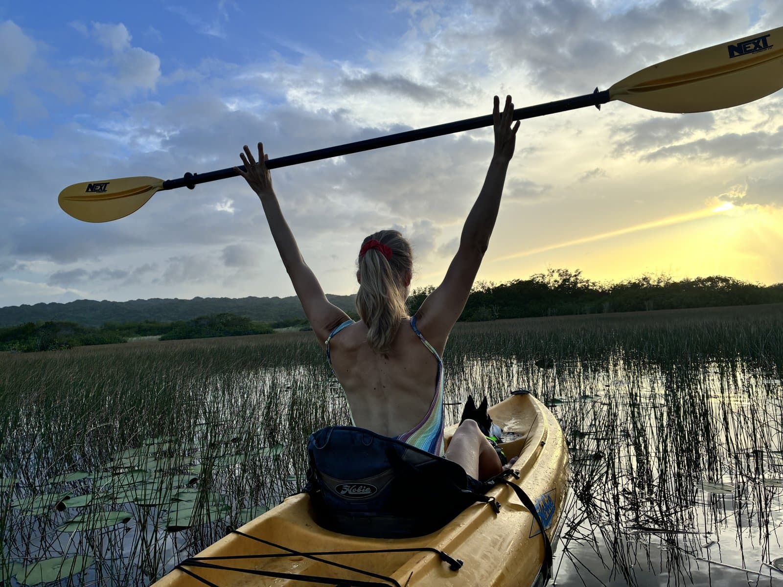 A kayaker raising her paddle overhead against a golden sunset sky over marshland.