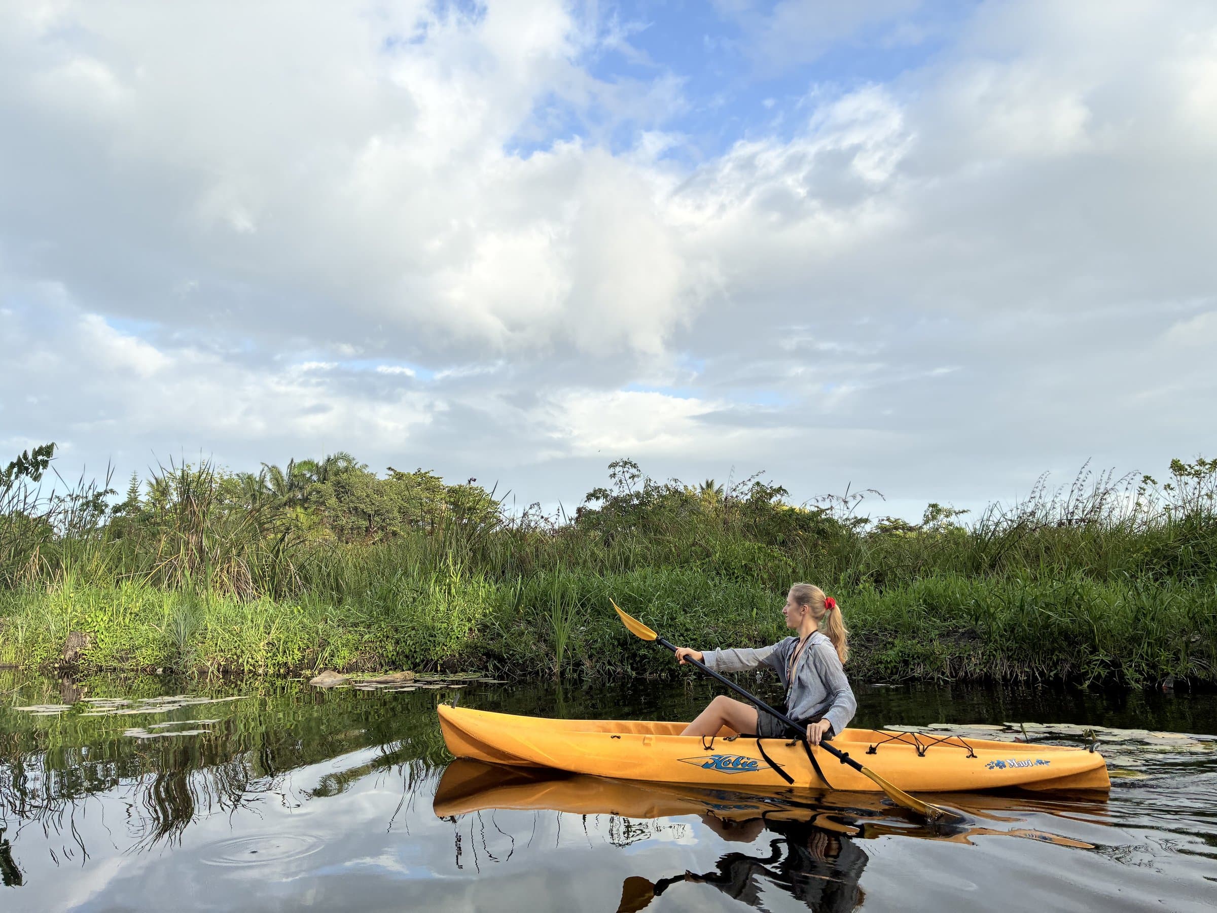 A woman paddling a yellow kayak on a calm lagoon lined with green reeds.